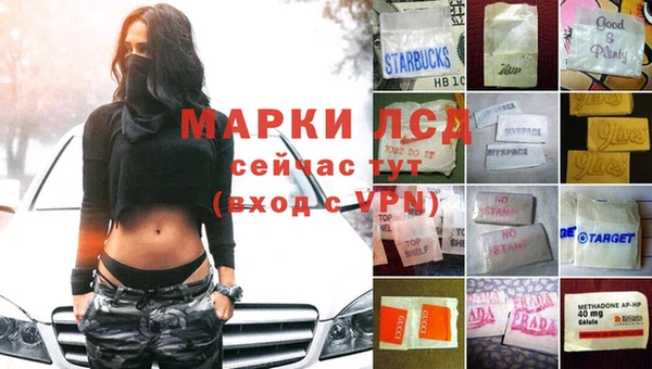 гидра Алексеевка