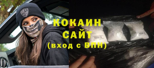 гидра Абаза