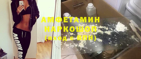 гидра Абаза